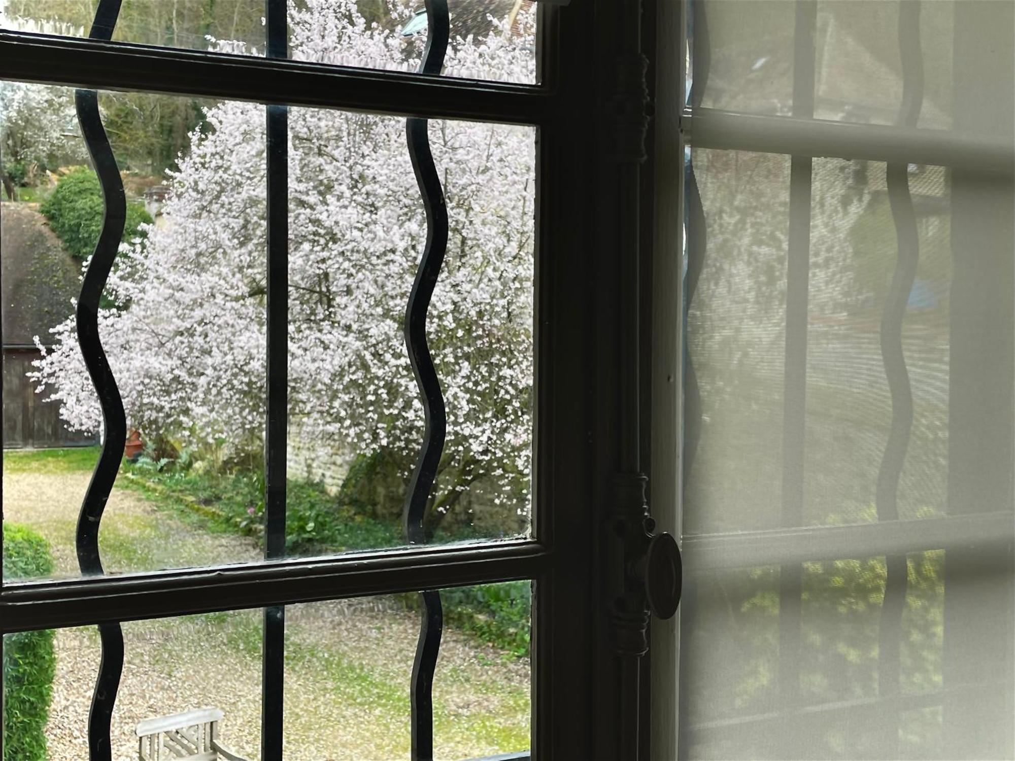 Evergreen Guesthouse Vernon  Dış mekan fotoğraf