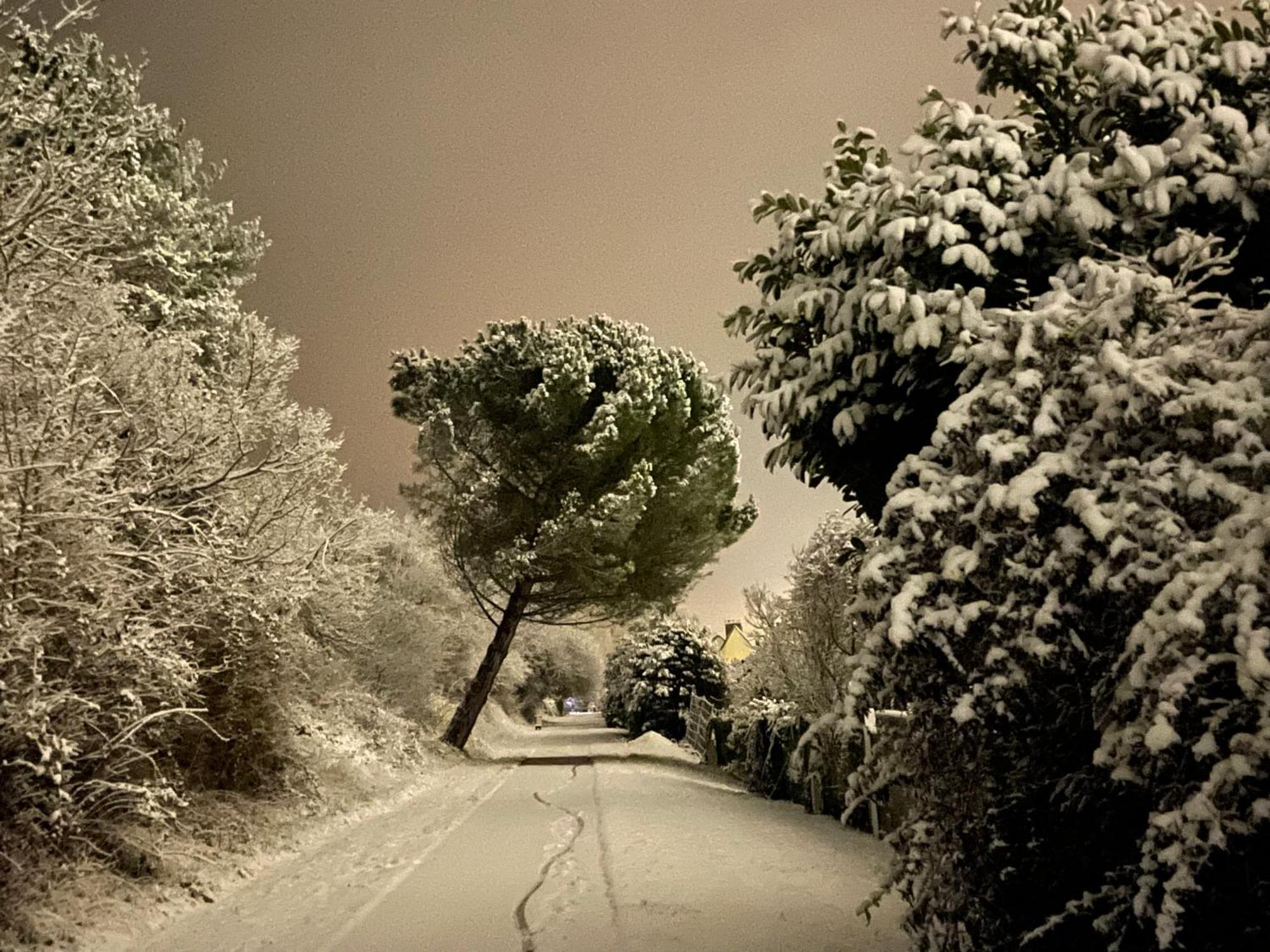 Evergreen Guesthouse Vernon  Dış mekan fotoğraf