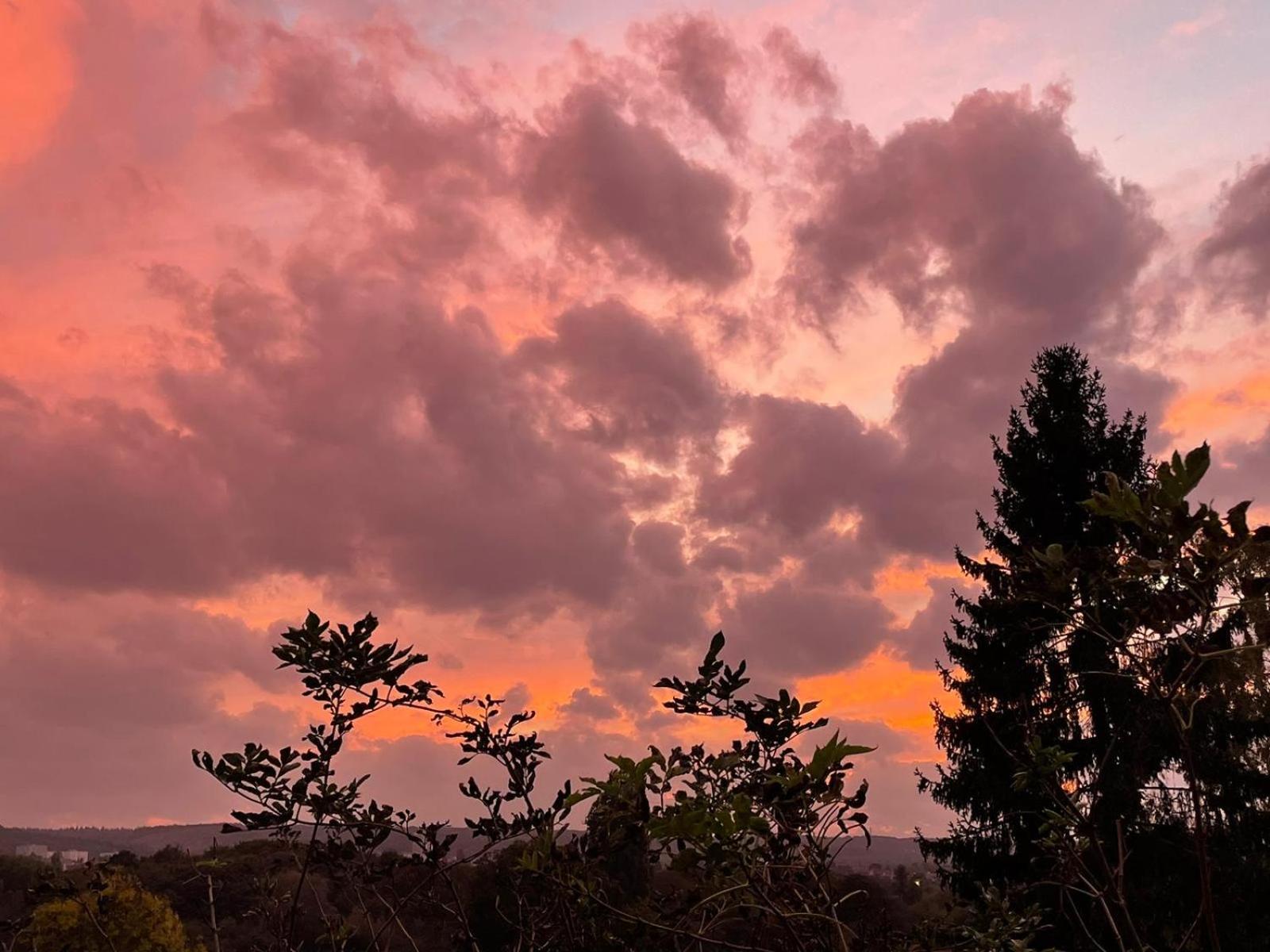 Evergreen Guesthouse Vernon  Dış mekan fotoğraf
