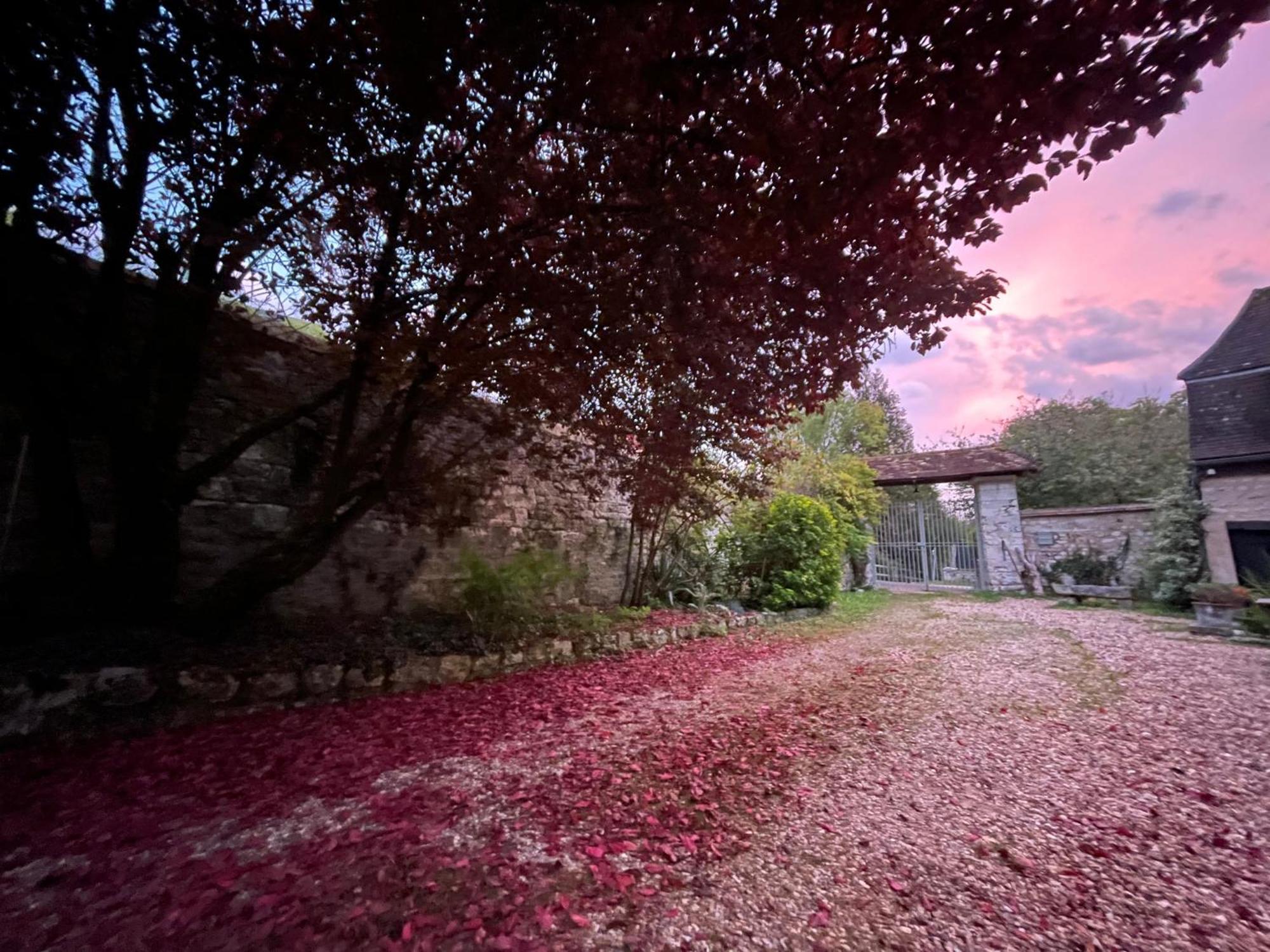 Evergreen Guesthouse Vernon  Dış mekan fotoğraf